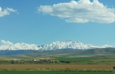 ozdfov